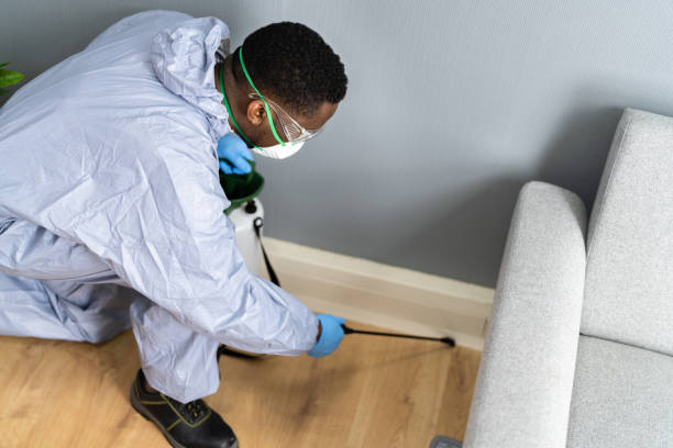 Best Bed Bug Extermination  in Eagan, MN